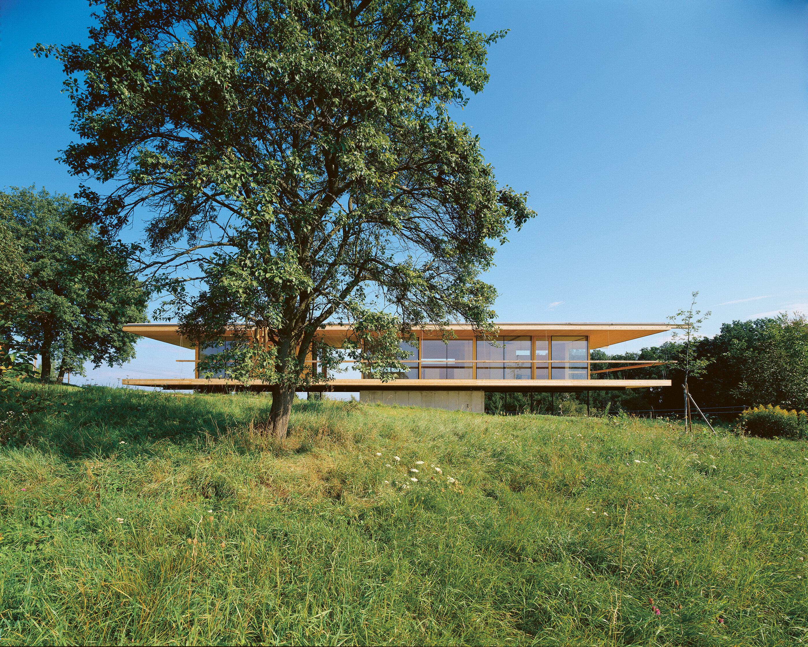 Ansicht Haus B-B / Bocksdorf / Burgenland