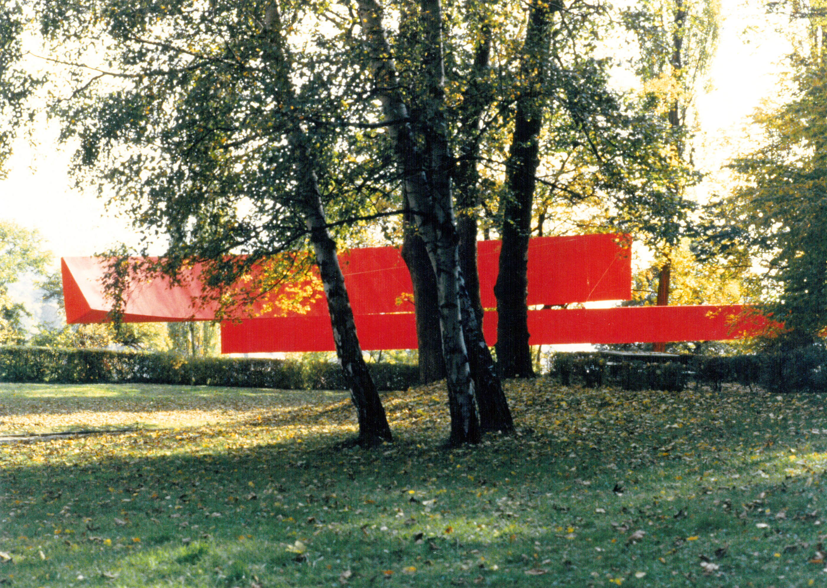 Ansicht Ausstellung Harter Laubfrosch / Graz / steirischer Herbst